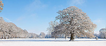 快船客场告捷灰熊，莱昂纳德贡献两双