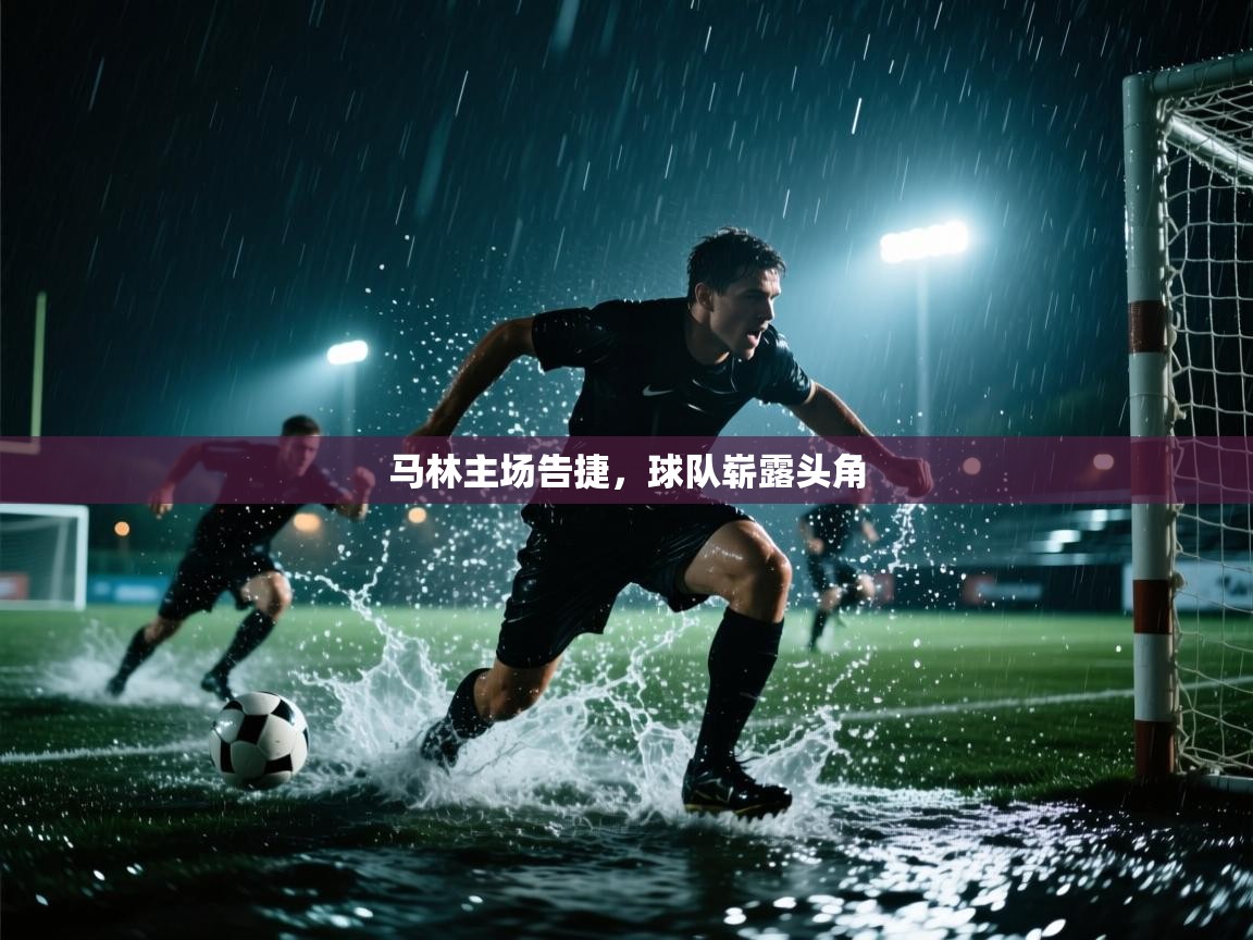 马林主场告捷，球队崭露头角  第1张